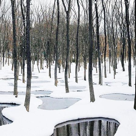 Art Biotop Nasu Exteriér fotografie