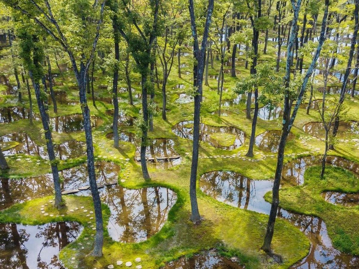 Art Biotop Nasu Exteriér fotografie